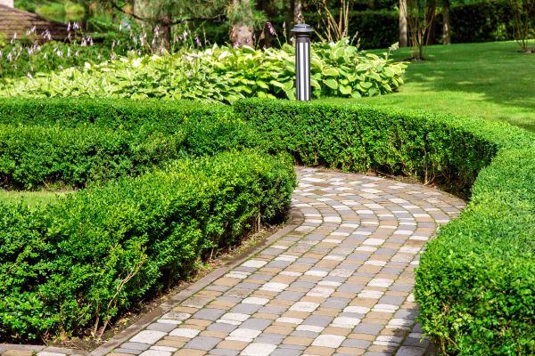 Cost of Paved Landscaping in Lexington