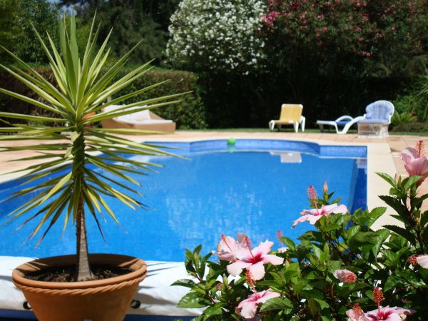 Cost of Pool Terrace Renovation in Lexington